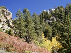 Colorado Land For Sale