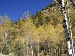 Colorado Land For Sale