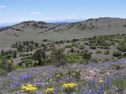 Colorado Land For Sale