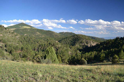 Colorado Land for Sale