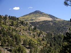 Colorado Land for Sale