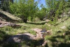 Colorado Land for Sale