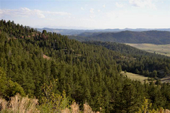 Colorado Land For Sale