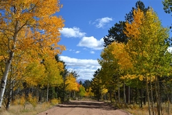 Colorado Cabins for Sale