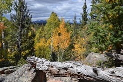 Colorado Land For Sale