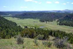 Colorado Land for Sale