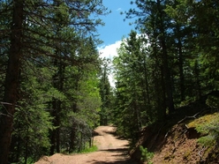 Colorado Land For Sale