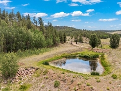 Colorado Ranches For Sale