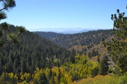 Colorado Log Home for Sale