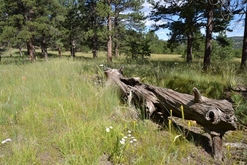Colorado Land for Sale