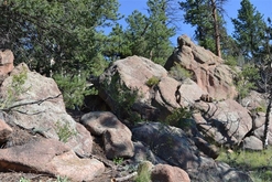 Colorado Land for Sale