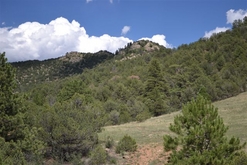 Colorado Land for Sale