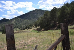 Colorado Land for Sale