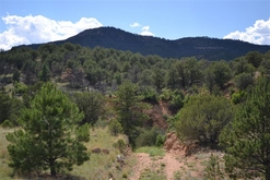 Colorado Land for Sale