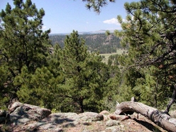 Colorado Land for Sale