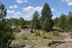 Colorado Land for Sale