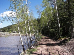 Colorado Land for Sale