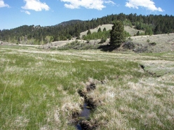 Colorado Land for Sale