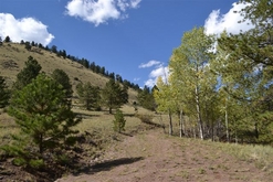 Colorado Ranches for Sale
