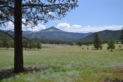 Colorado Land for Sale