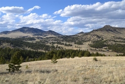 Colorado Land For Sale