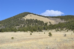 Colorado Land For Sale