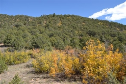 Colorado Land for Sale