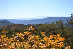 Colorado Land for Sale