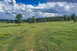 Colorado Land For Sale